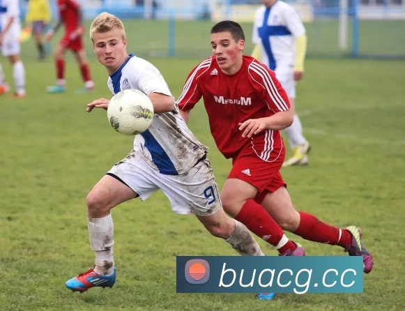 App Interface Preview